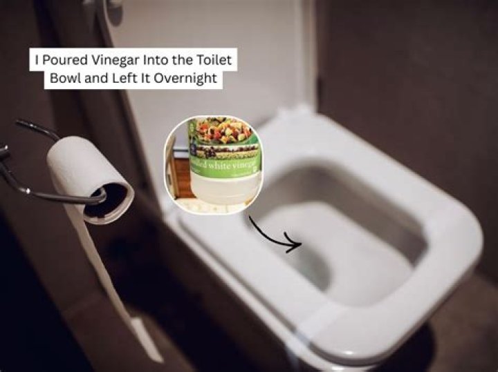Can you put vinegar in toilet bowl?