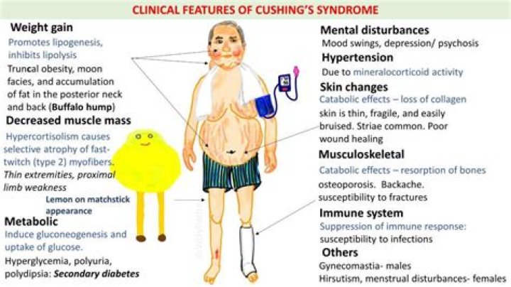 Does Cushing's cause lameness?