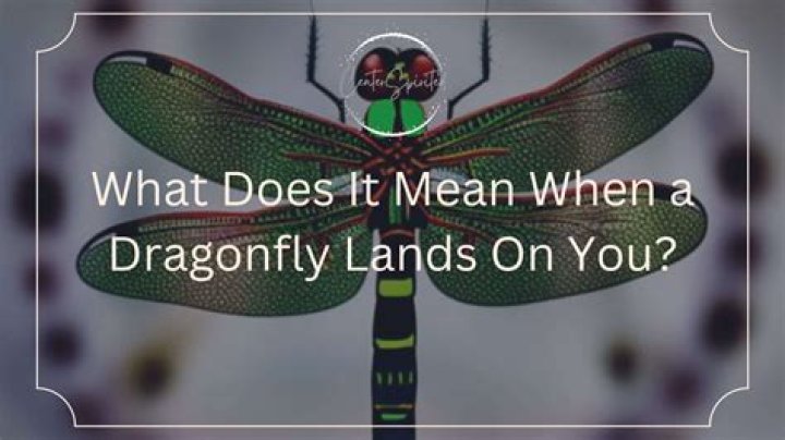 What happens if a dragonfly lands on you?