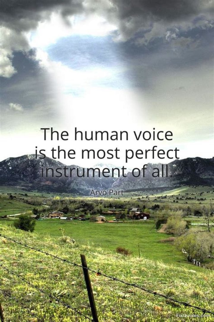 What instrument is most like human voice?