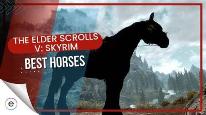 Whats the best horse in Skyrim?